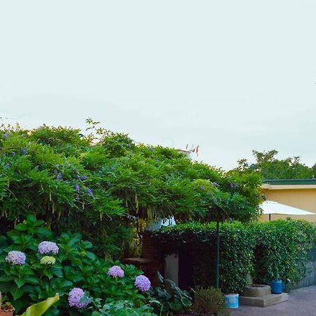 Villa A Tintureira à São Martinho de Antas Extérieur photo
