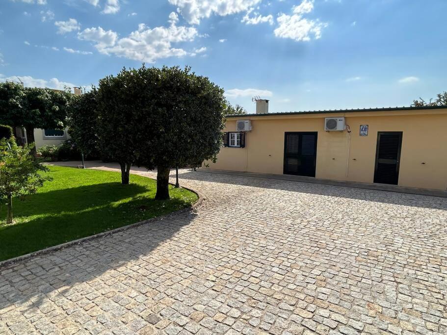 Villa A Tintureira à São Martinho de Antas Extérieur photo
