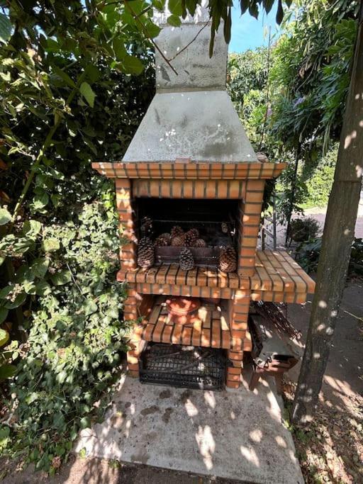 Villa A Tintureira à São Martinho de Antas Extérieur photo
