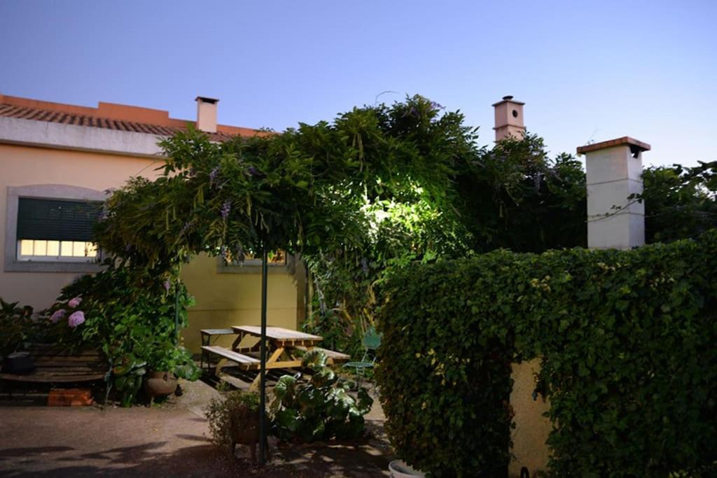 Villa A Tintureira à São Martinho de Antas Extérieur photo