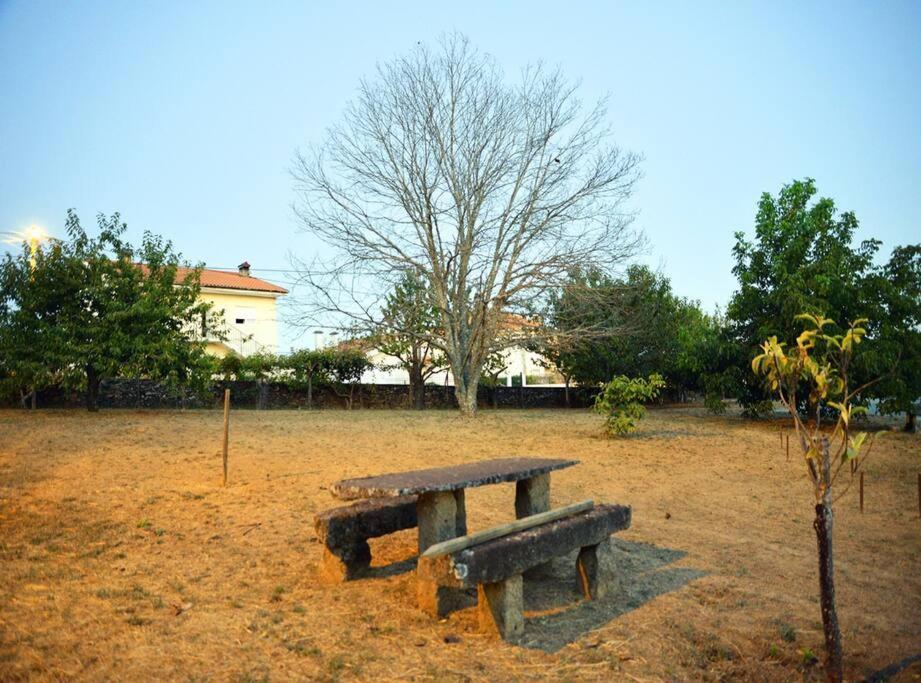 Villa A Tintureira à São Martinho de Antas Extérieur photo